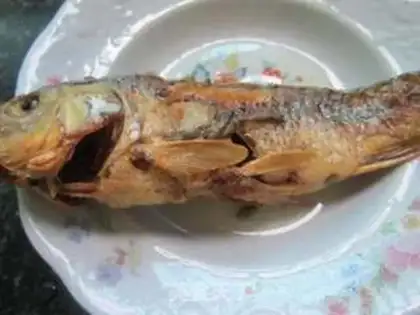 Make Carp step 5