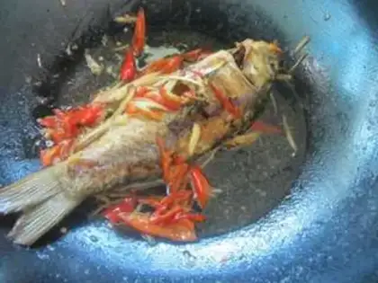 Make Carp step 9