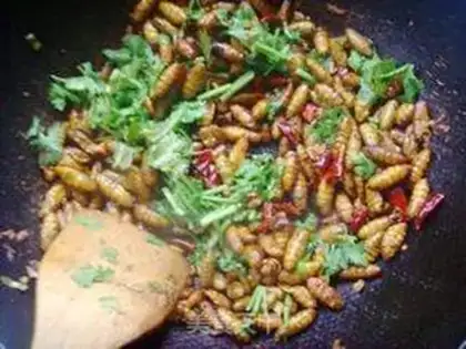 Make Dry ricin step 9
