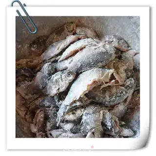 Make Squidfish step 5
