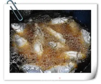 Make Squidfish step 6
