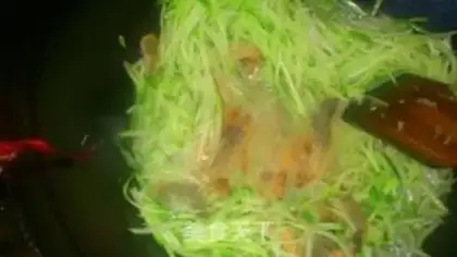 Make Rop and shrimp step 8