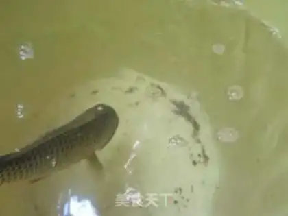 Make Carp step 0