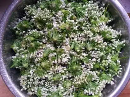 Make Cream florist step 0
