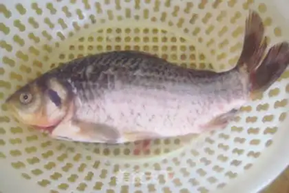 Make Red-burned mackerel step 0