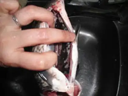 Make step 1