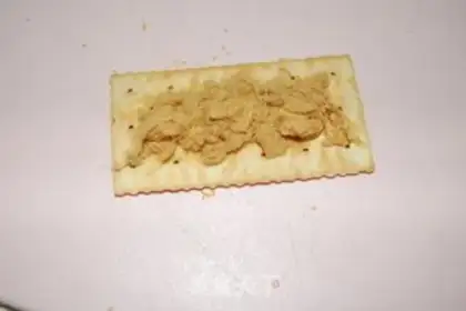 Make step 2