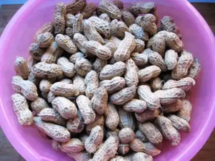Make Five peanuts step 0