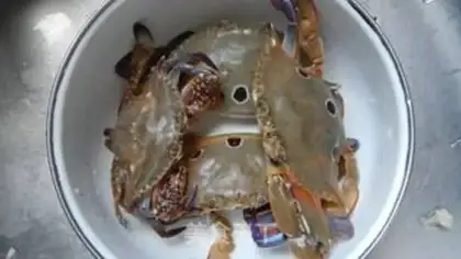 Make Crab tofu step 0