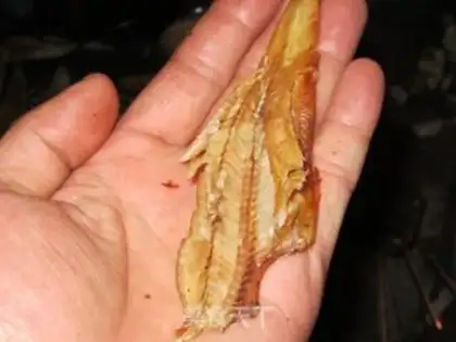 Make Homemade barbecue step 11