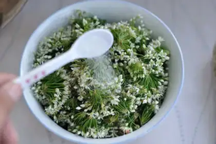Make Cream florist step 1