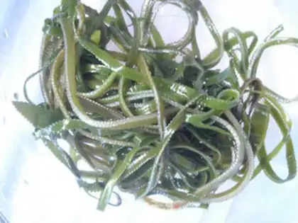 Make The seaweed step 0