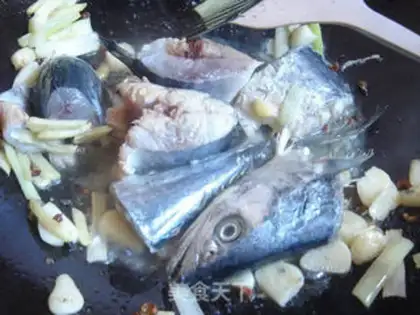 Make Squid step 5