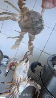 Make Fresh crabs step 7