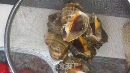 Make Cool conch step 0
