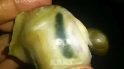 Make Cool conch step 5