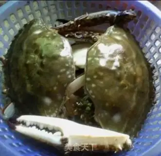 Make Tofu drums for winter crabs step 0