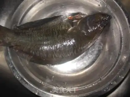 Make Oscillated opium fish step 1