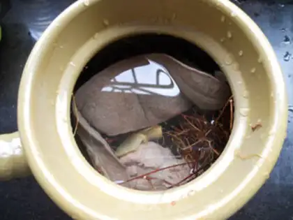 Make Chicken weeds and pigs step 2