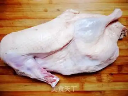 Make Red duck step 0