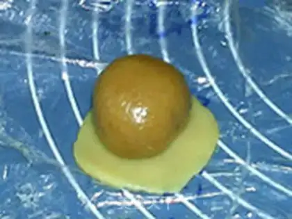 Make Bean moon cake step 11