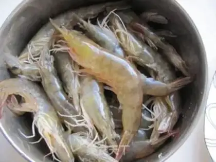 Make Shrimp step 0
