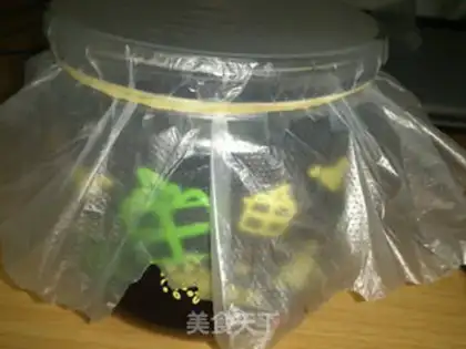 Make Homemade wine step 11