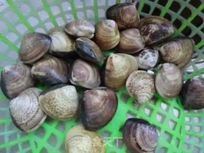 Make Flower clams and eggs step 0
