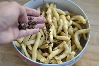 Make Cricket ginger bud step 5