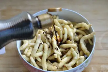 Make Cricket ginger bud step 7