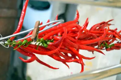 Make Homemade peppers step 3
