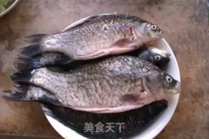 Make Soupfish step 0