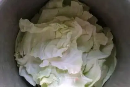 Make Soupfish step 5