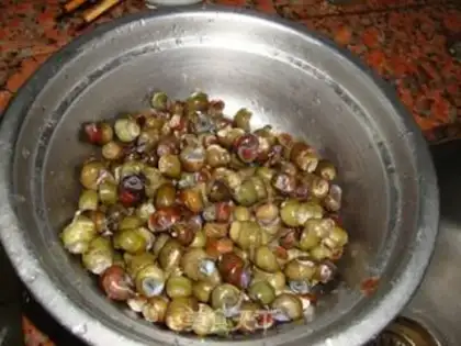 Make Snails step 0
