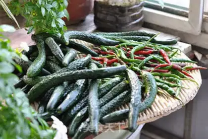 Make Sweet pickles step 0