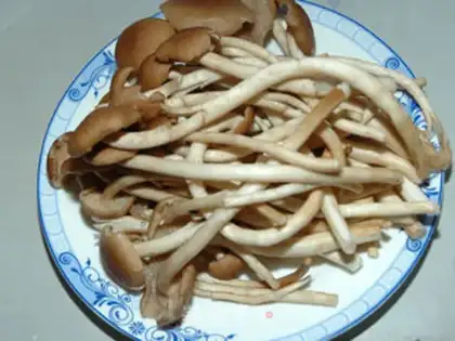Make Tea mushrooms, willows step 1