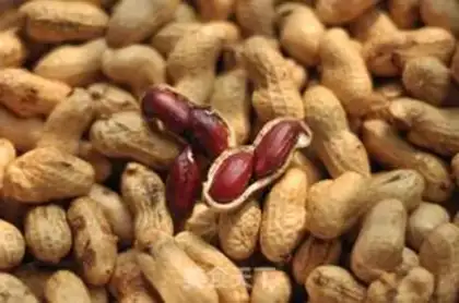 Make Salt-water peanuts step 0