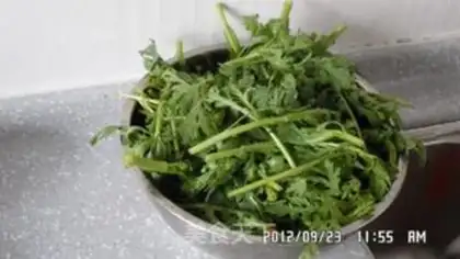 Make Squid