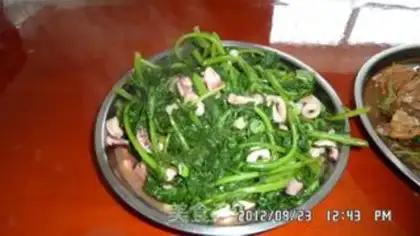 Make Squid