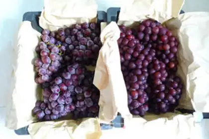 Make Self-made wine step 0