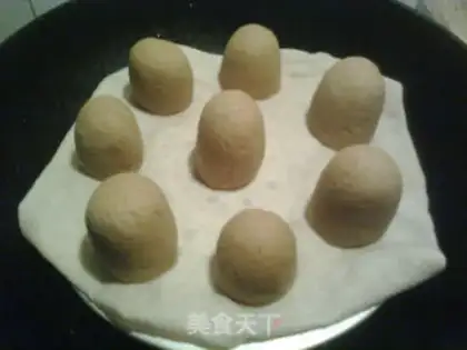 Make Red sugar wheat embryos step 9