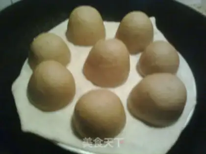 Make Red sugar wheat embryos step 10