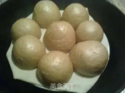 Make Red sugar wheat embryos step 11