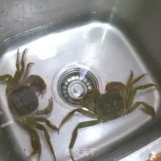 Make Fry the Krabs step 0