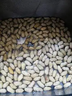 Make Boiled peanuts step 2