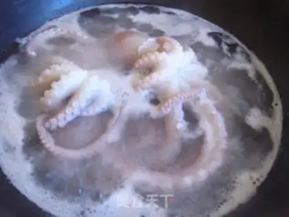 Make The octopus must be made of herring step 1