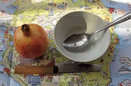Make 30 seconds for pomegranate step 0