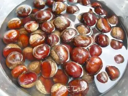 Make Chestnut step 1