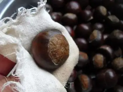 Make Chestnut step 2