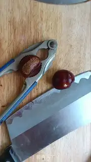 Make Chestnut step 5